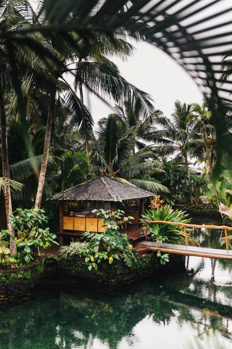 Fortnite Crossover Official: Snake Eyes Joins the Hunt